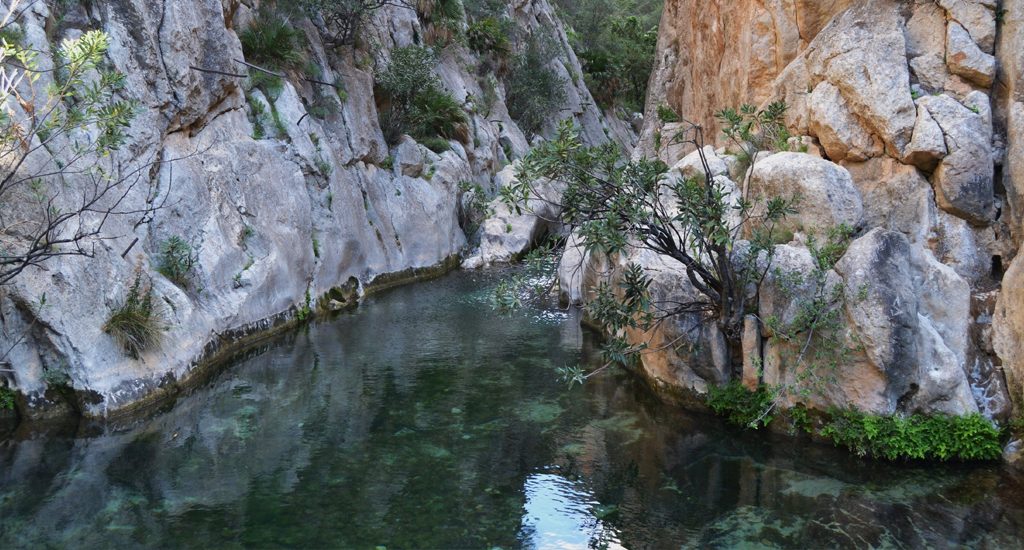 3 piscinas naturales en España que no puedes perderte este verano
