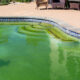 cómo quitar el color verde del agua de la piscina